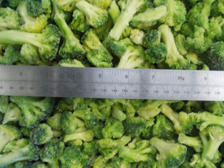 IQF Broccoli Floret 2040mm