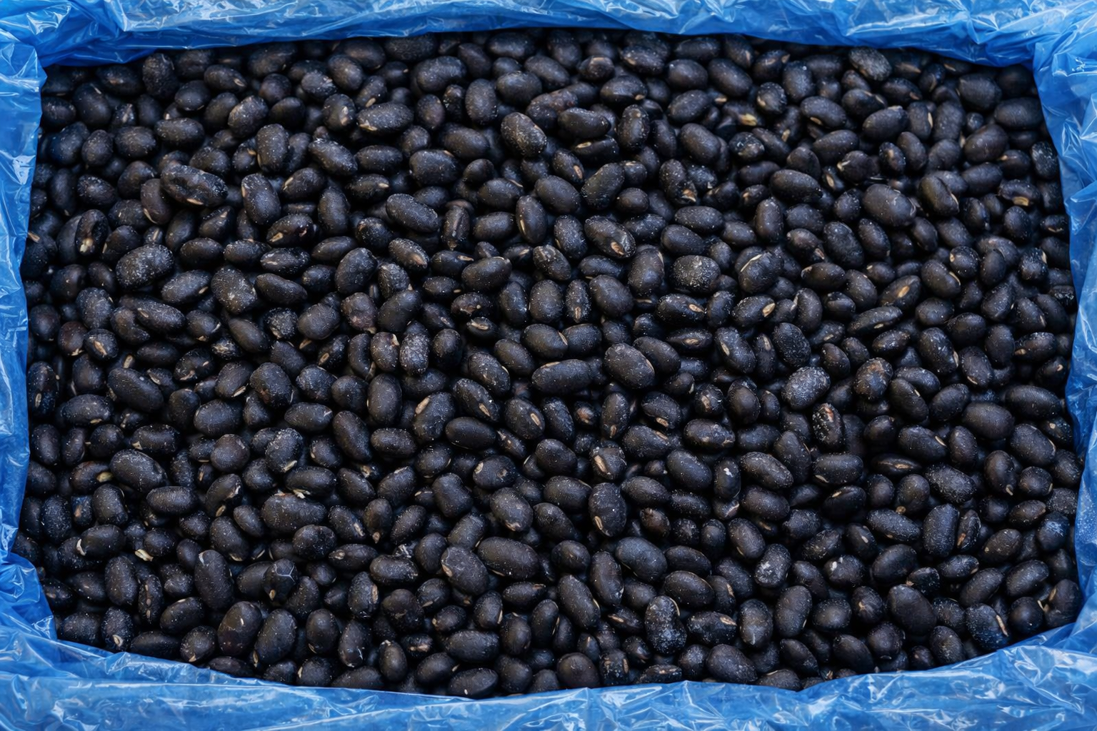 IQF Beans Black Turtle