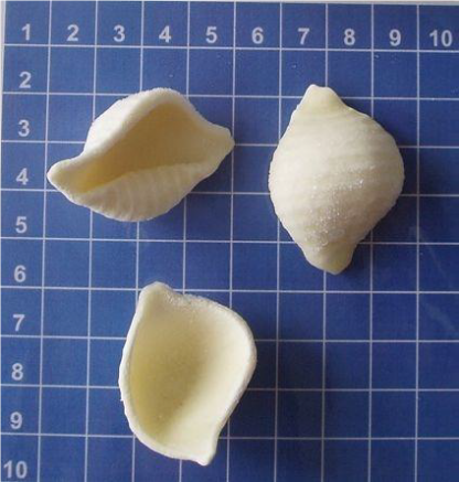 IQF Conchiglie Pasta