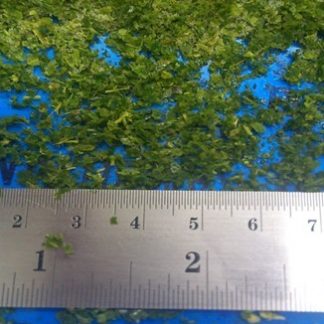 IQF Lime Leaves 1-3mm